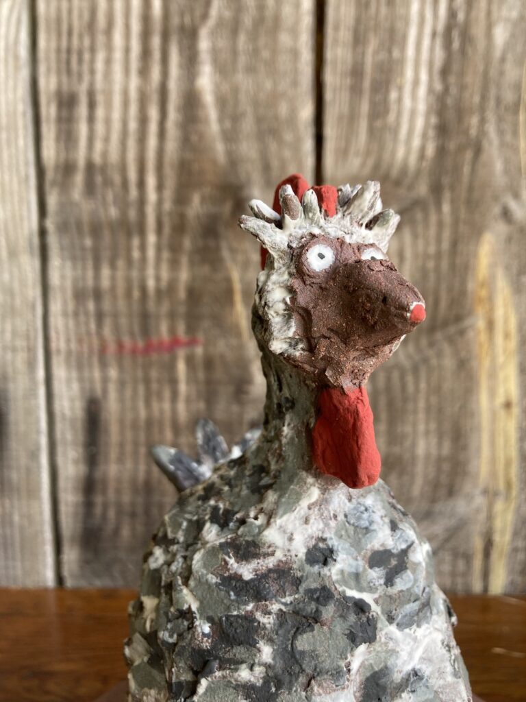 poule drôle et amusante, terre du Fuilet