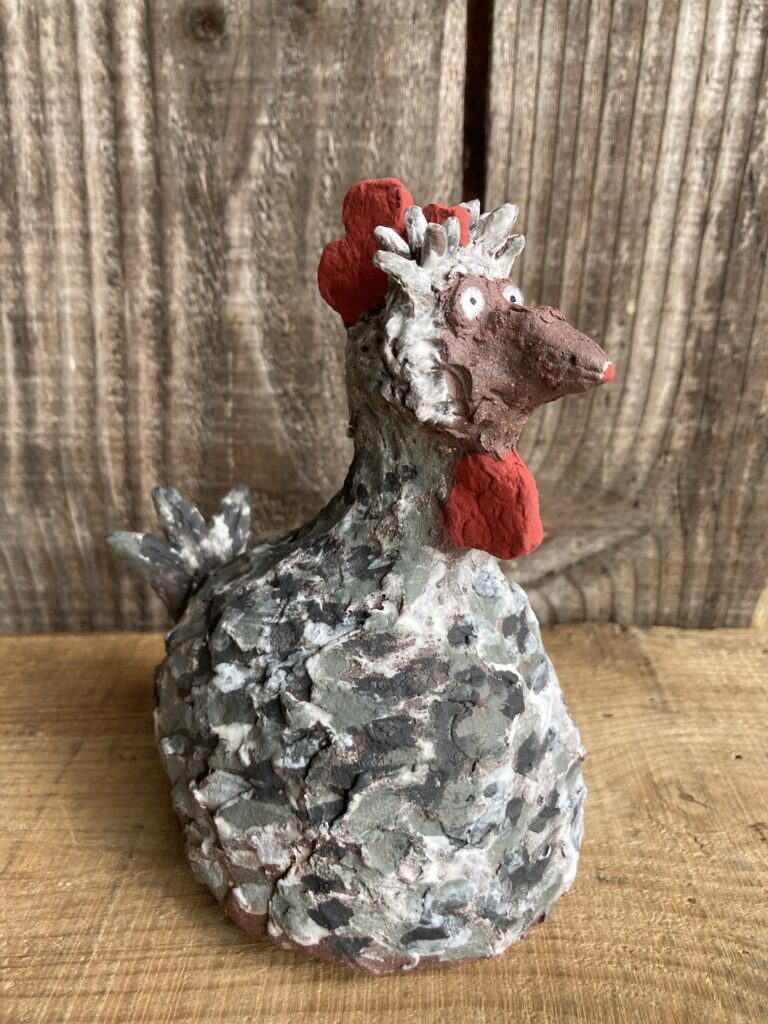 une poule avec un regard ahuri.
